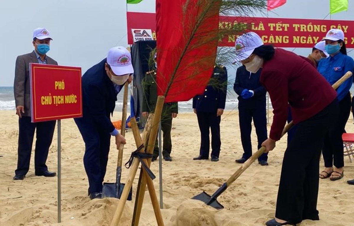La Fête de plantation d arbres du Printemps 2021 lancée à Quang Binh